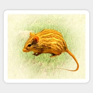 Striped grass mouse Sticker